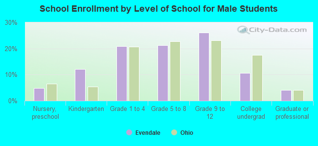 School Enrollment by Level of School for Male Students