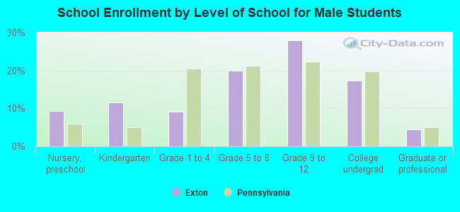 School Enrollment by Level of School for Male Students