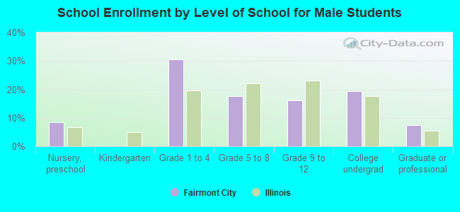 School Enrollment by Level of School for Male Students