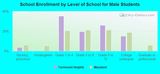 School Enrollment by Level of School for Male Students