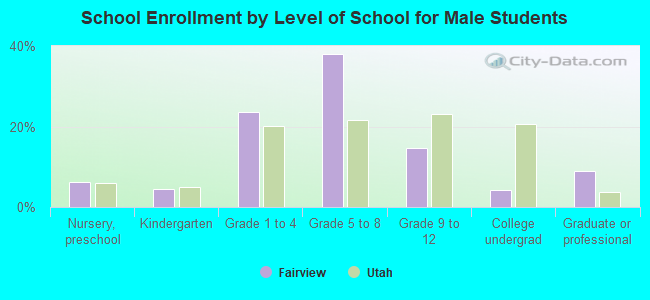 School Enrollment by Level of School for Male Students