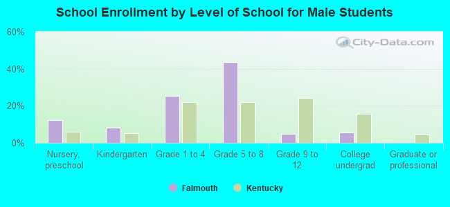 School Enrollment by Level of School for Male Students