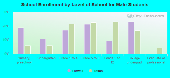 School Enrollment by Level of School for Male Students