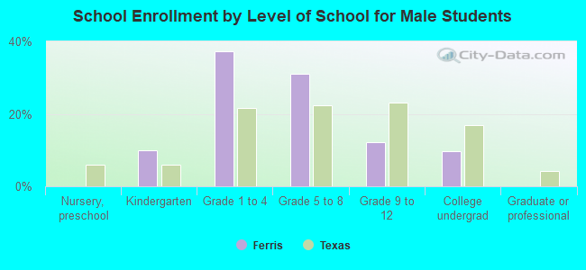 School Enrollment by Level of School for Male Students