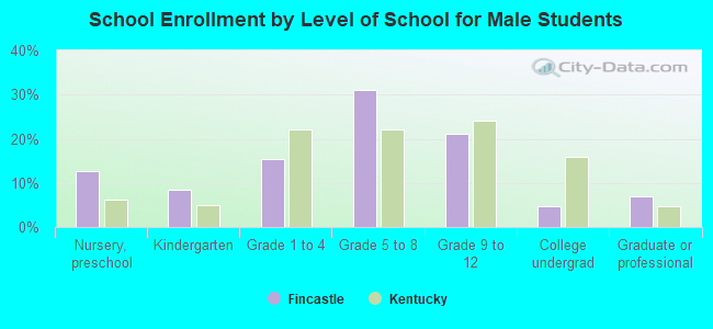 School Enrollment by Level of School for Male Students