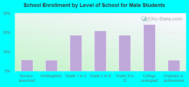 School Enrollment by Level of School for Male Students