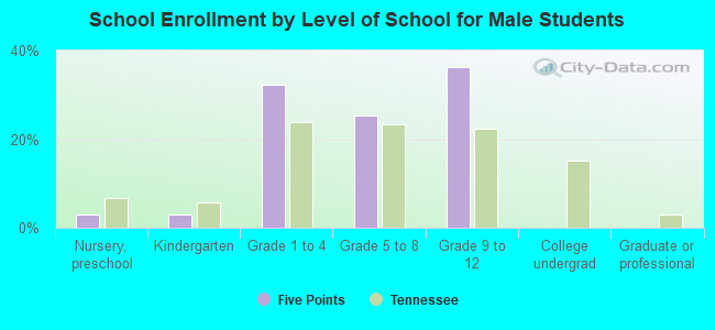 School Enrollment by Level of School for Male Students