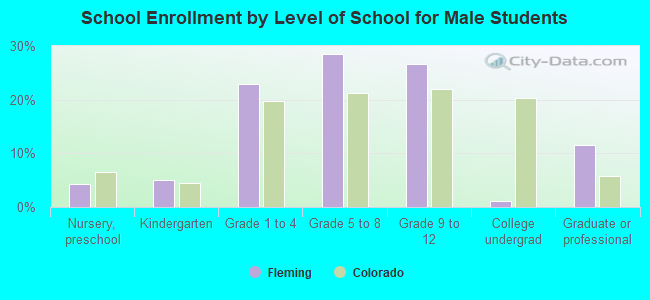 School Enrollment by Level of School for Male Students