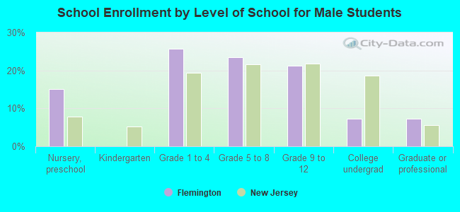 School Enrollment by Level of School for Male Students