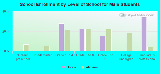 School Enrollment by Level of School for Male Students