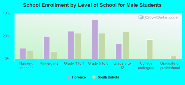 School Enrollment by Level of School for Male Students