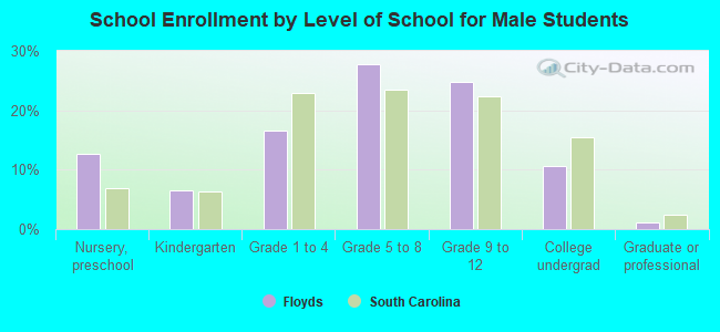 School Enrollment by Level of School for Male Students