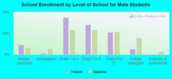 School Enrollment by Level of School for Male Students