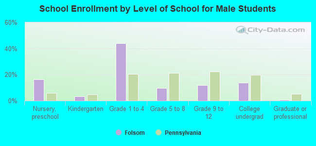 School Enrollment by Level of School for Male Students