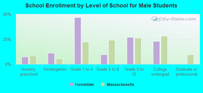 School Enrollment by Level of School for Male Students