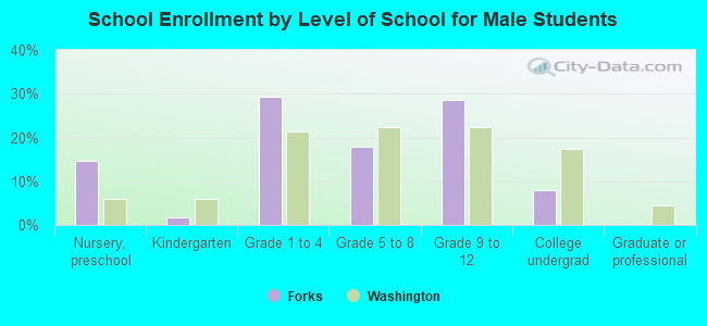 School Enrollment by Level of School for Male Students