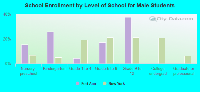 School Enrollment by Level of School for Male Students