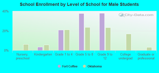 School Enrollment by Level of School for Male Students