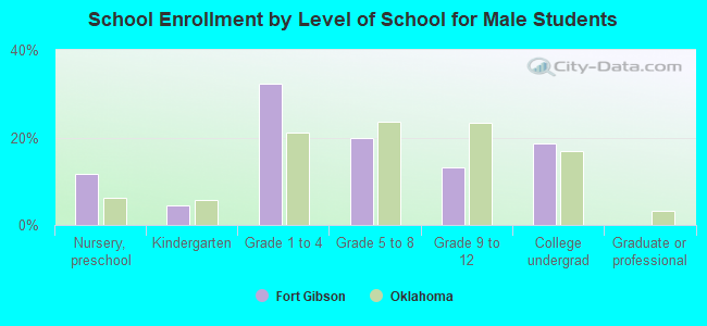 School Enrollment by Level of School for Male Students