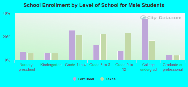 School Enrollment by Level of School for Male Students