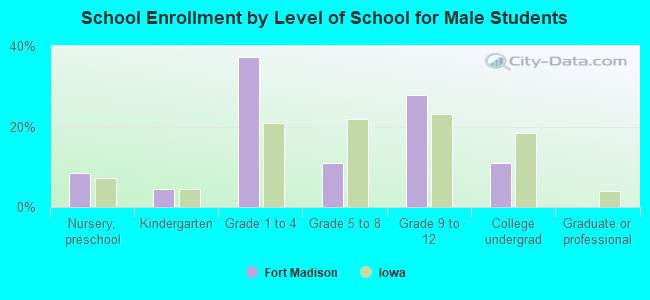 School Enrollment by Level of School for Male Students