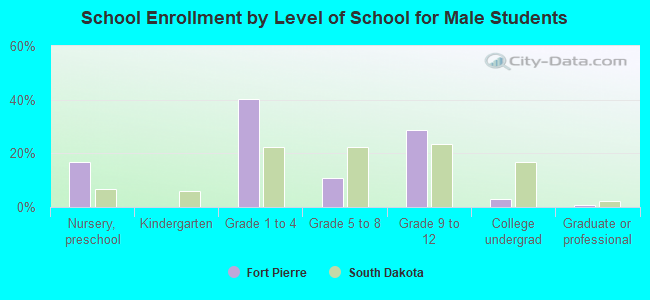 School Enrollment by Level of School for Male Students