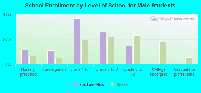 School Enrollment by Level of School for Male Students