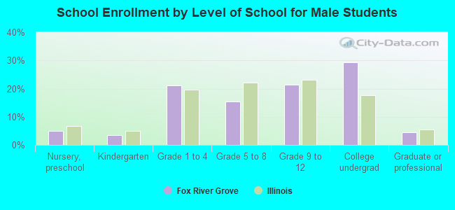 School Enrollment by Level of School for Male Students