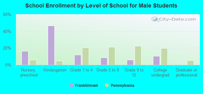 School Enrollment by Level of School for Male Students