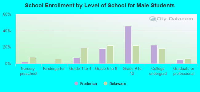 School Enrollment by Level of School for Male Students