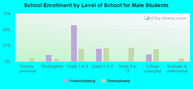 School Enrollment by Level of School for Male Students