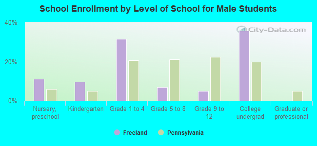 School Enrollment by Level of School for Male Students