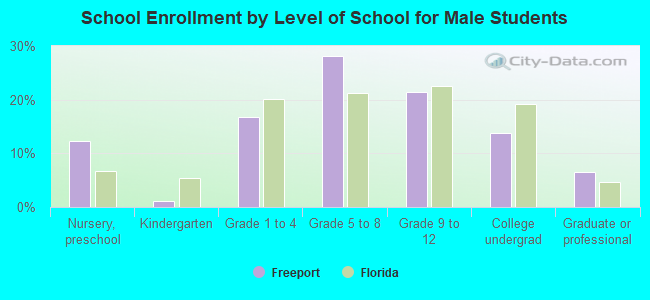 School Enrollment by Level of School for Male Students