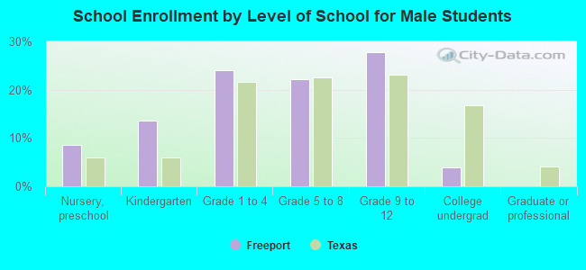 School Enrollment by Level of School for Male Students