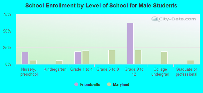 School Enrollment by Level of School for Male Students