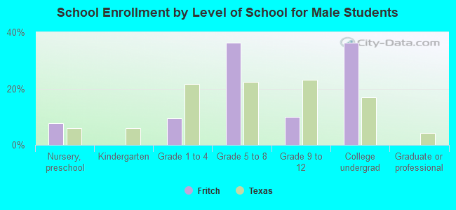 School Enrollment by Level of School for Male Students