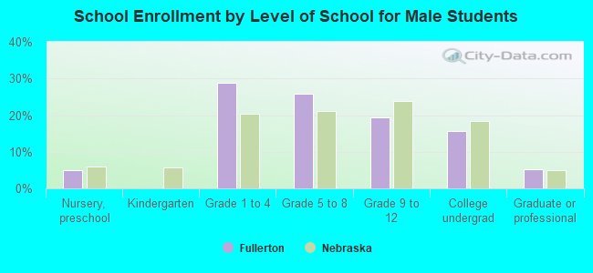 School Enrollment by Level of School for Male Students