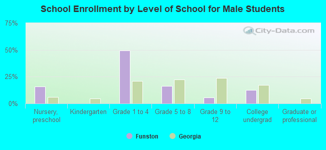 School Enrollment by Level of School for Male Students