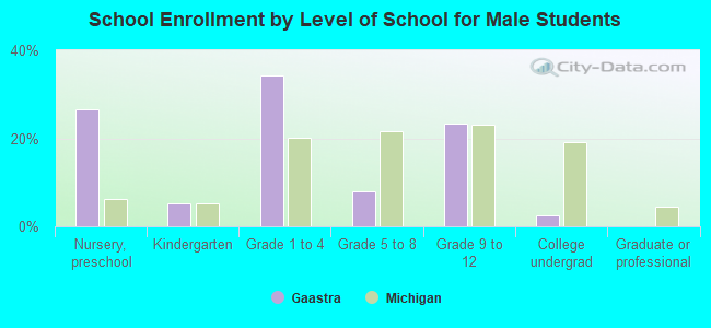 School Enrollment by Level of School for Male Students