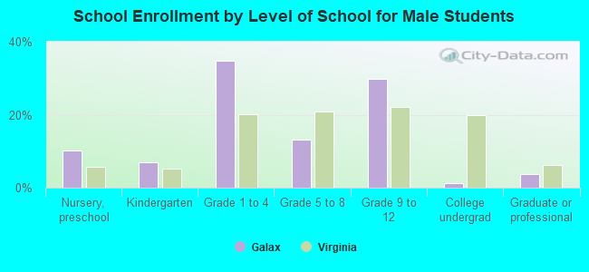 School Enrollment by Level of School for Male Students