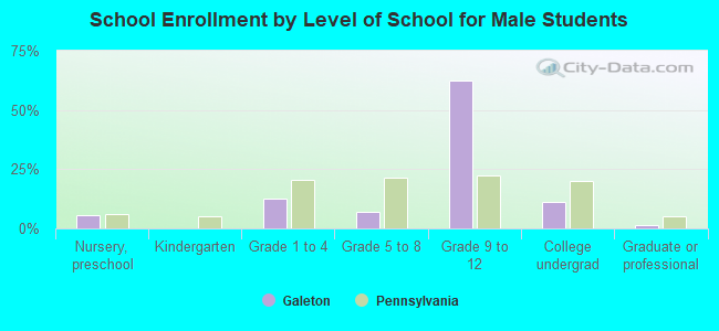 School Enrollment by Level of School for Male Students