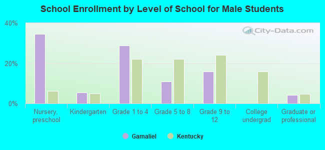 School Enrollment by Level of School for Male Students