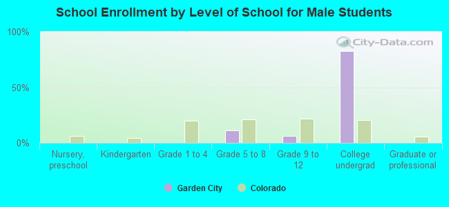 School Enrollment by Level of School for Male Students