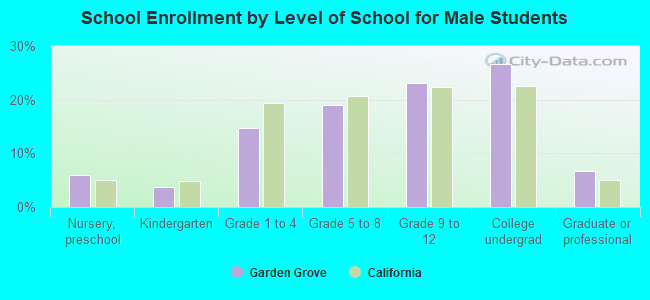 School Enrollment by Level of School for Male Students