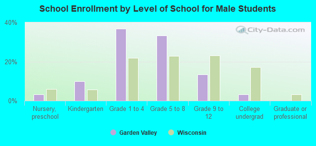 School Enrollment by Level of School for Male Students