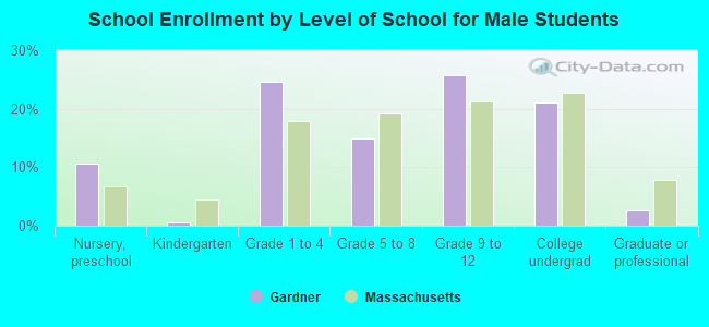 School Enrollment by Level of School for Male Students