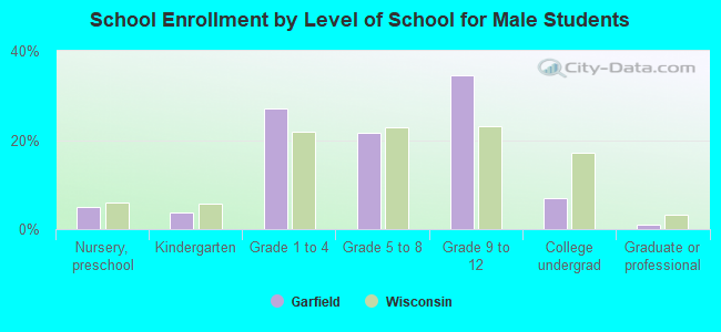 School Enrollment by Level of School for Male Students