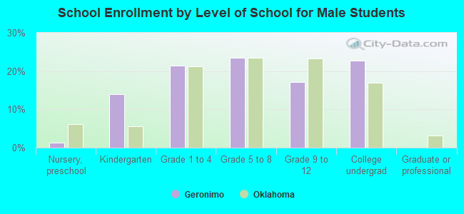 School Enrollment by Level of School for Male Students