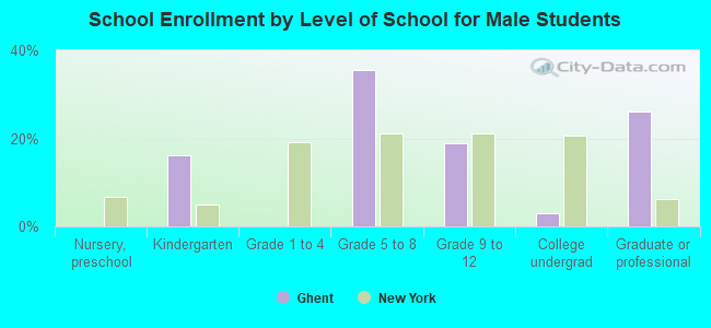 School Enrollment by Level of School for Male Students