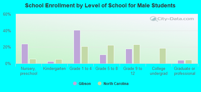 School Enrollment by Level of School for Male Students